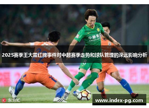 2025赛季王大雷红牌事件对中超赛季走势和球队管理的深远影响分析