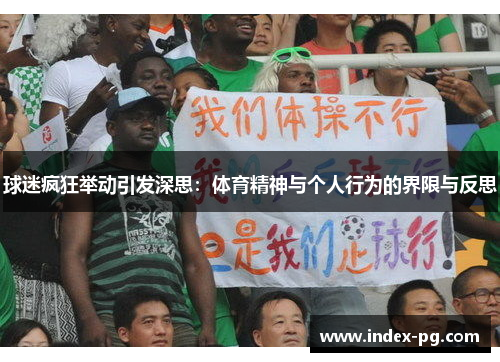 球迷疯狂举动引发深思：体育精神与个人行为的界限与反思