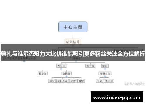 蒙扎与维尔杰魅力大比拼谁能吸引更多粉丝关注全方位解析
