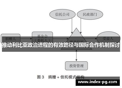 推动利比亚政治进程的有效路径与国际合作机制探讨