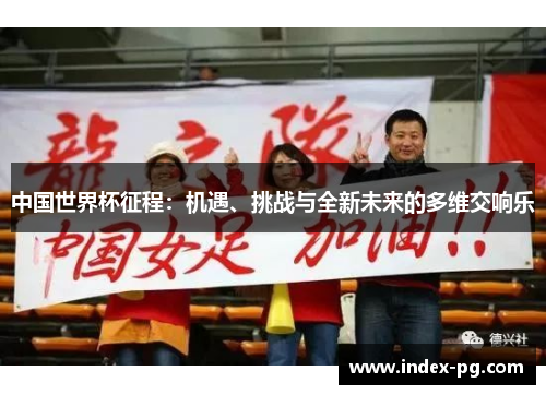 中国世界杯征程：机遇、挑战与全新未来的多维交响乐