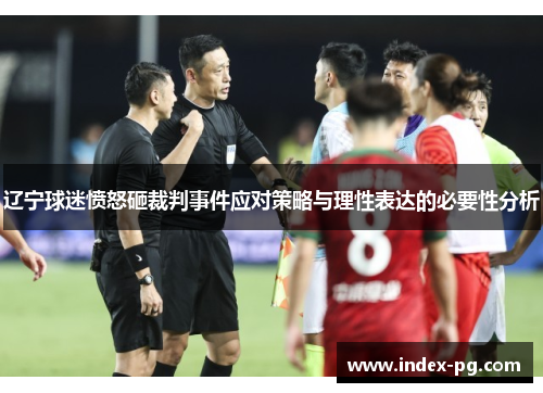 辽宁球迷愤怒砸裁判事件应对策略与理性表达的必要性分析