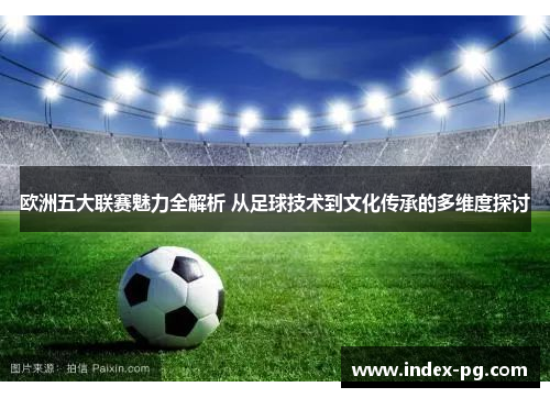 欧洲五大联赛魅力全解析 从足球技术到文化传承的多维度探讨