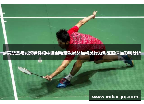 魏震禁赛与罚款事件对中国羽毛球发展及运动员行为规范的深远影响分析