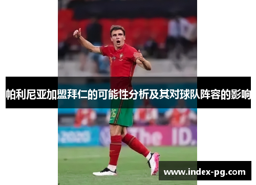 帕利尼亚加盟拜仁的可能性分析及其对球队阵容的影响