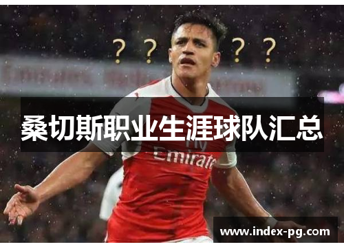 桑切斯职业生涯球队汇总